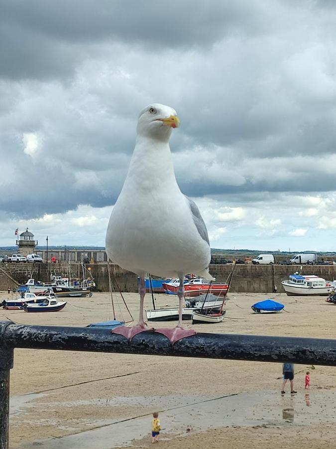 Cheerful Fisherman,S Cottage St. Ives Exterior foto